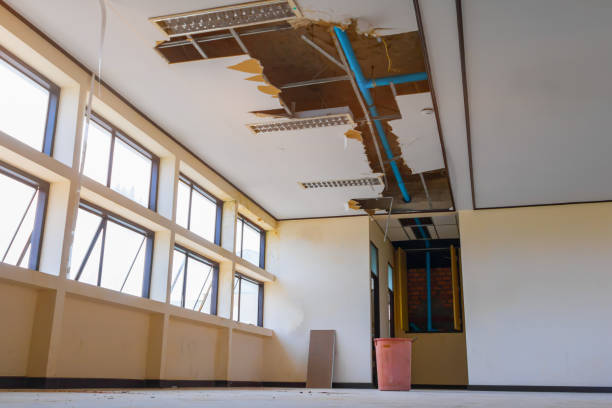 Best 24/7 water damage repair  in Clarksburg, WV