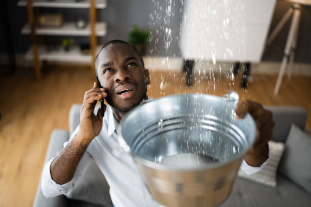 Best Water damage restoration insurance claims  in Clarksburg, WV