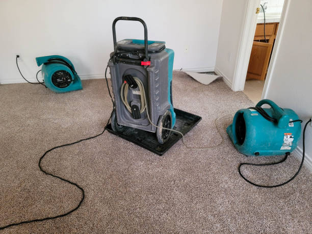 Best Water damage restoration cost  in Clarksburg, WV