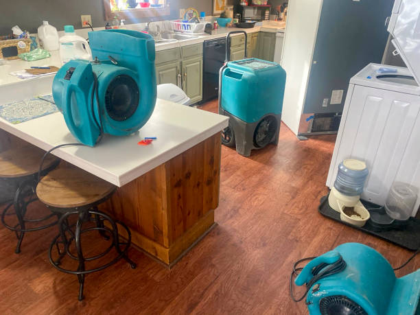 Best Professional water damage repair  in Clarksburg, WV