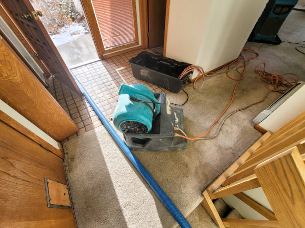 Best Water damage cleanup near me  in Clarksburg, WV