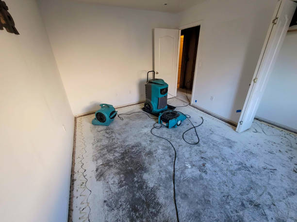 Best Water damage repair service  in Clarksburg, WV