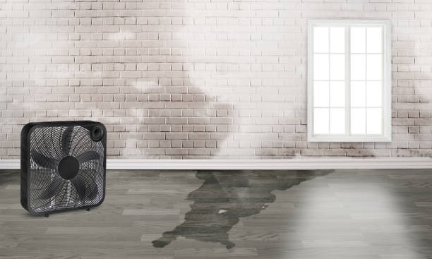 Best 24/7 water damage repair  in Clarksburg, WV