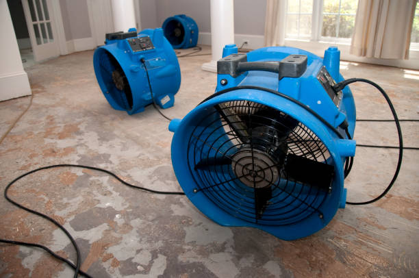 Best Water damage restoration near me  in Clarksburg, WV