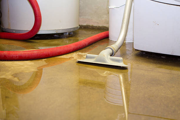 Best Flooded house restoration  in Clarksburg, WV