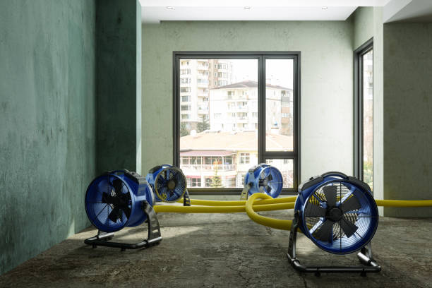 Best Water damage restoration services  in Clarksburg, WV